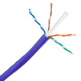 CMP CAT6A U/UTP 23/4P